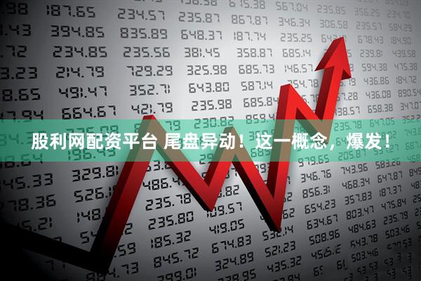 股利网配资平台 尾盘异动！这一概念，爆发！