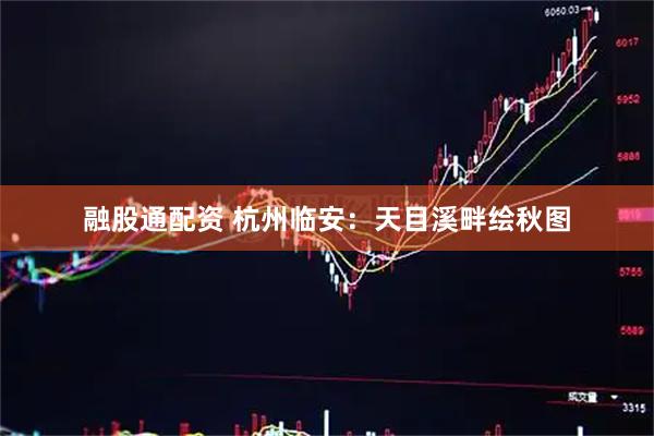 融股通配资 杭州临安：天目溪畔绘秋图