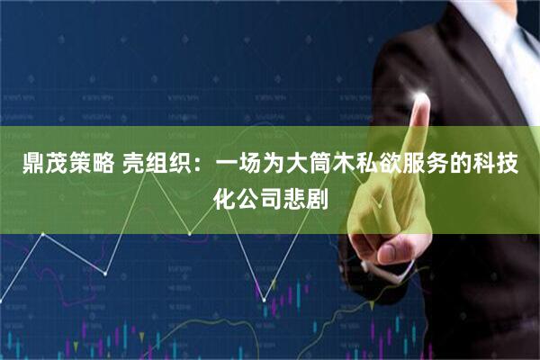 鼎茂策略 壳组织：一场为大筒木私欲服务的科技化公司悲剧