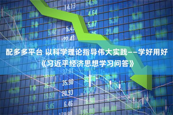 配多多平台 以科学理论指导伟大实践——学好用好《习近平经济思想学习问答》