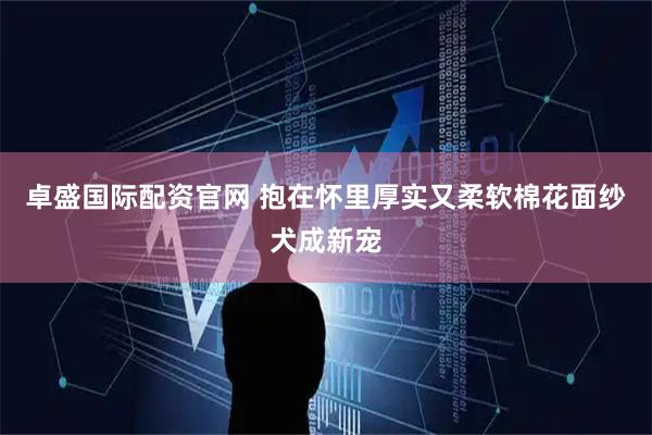 卓盛国际配资官网 抱在怀里厚实又柔软棉花面纱犬成新宠