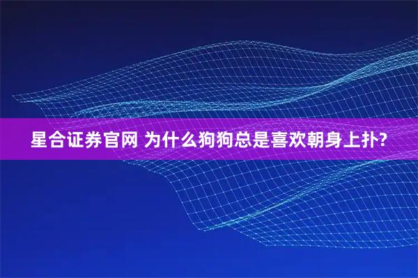 星合证券官网 为什么狗狗总是喜欢朝身上扑?