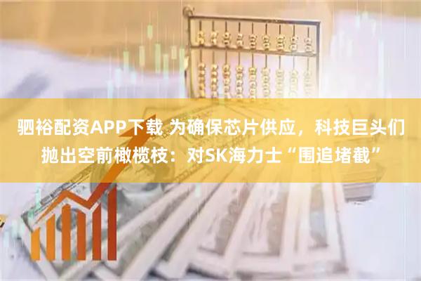驷裕配资APP下载 为确保芯片供应，科技巨头们抛出空前橄榄枝：对SK海力士“围追堵截”