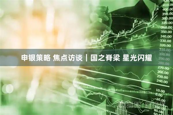 申银策略 焦点访谈｜国之脊梁 星光闪耀